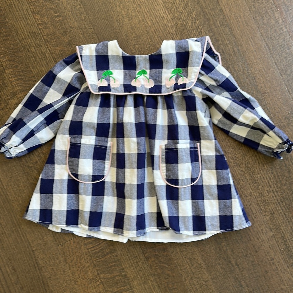 Posh Pickle Blue plaid cherry embroidered dress